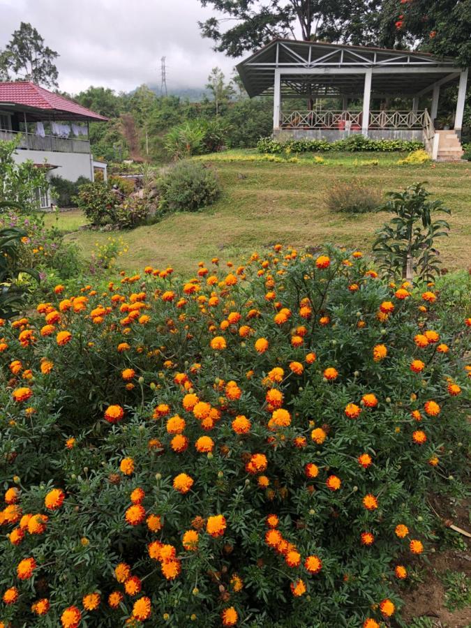 A Spacious Tropical 4 Bedrooms With Bathrooms Villa Marion Tomohon With The View Of Gunung Lokon Extérieur photo